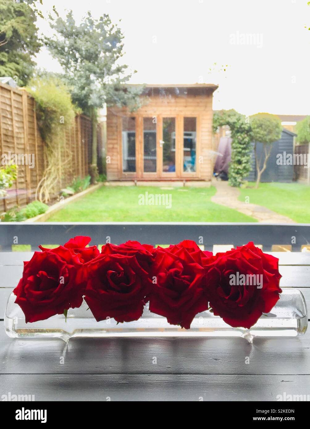 Roses on a table - Smartphone Captured Stock Image