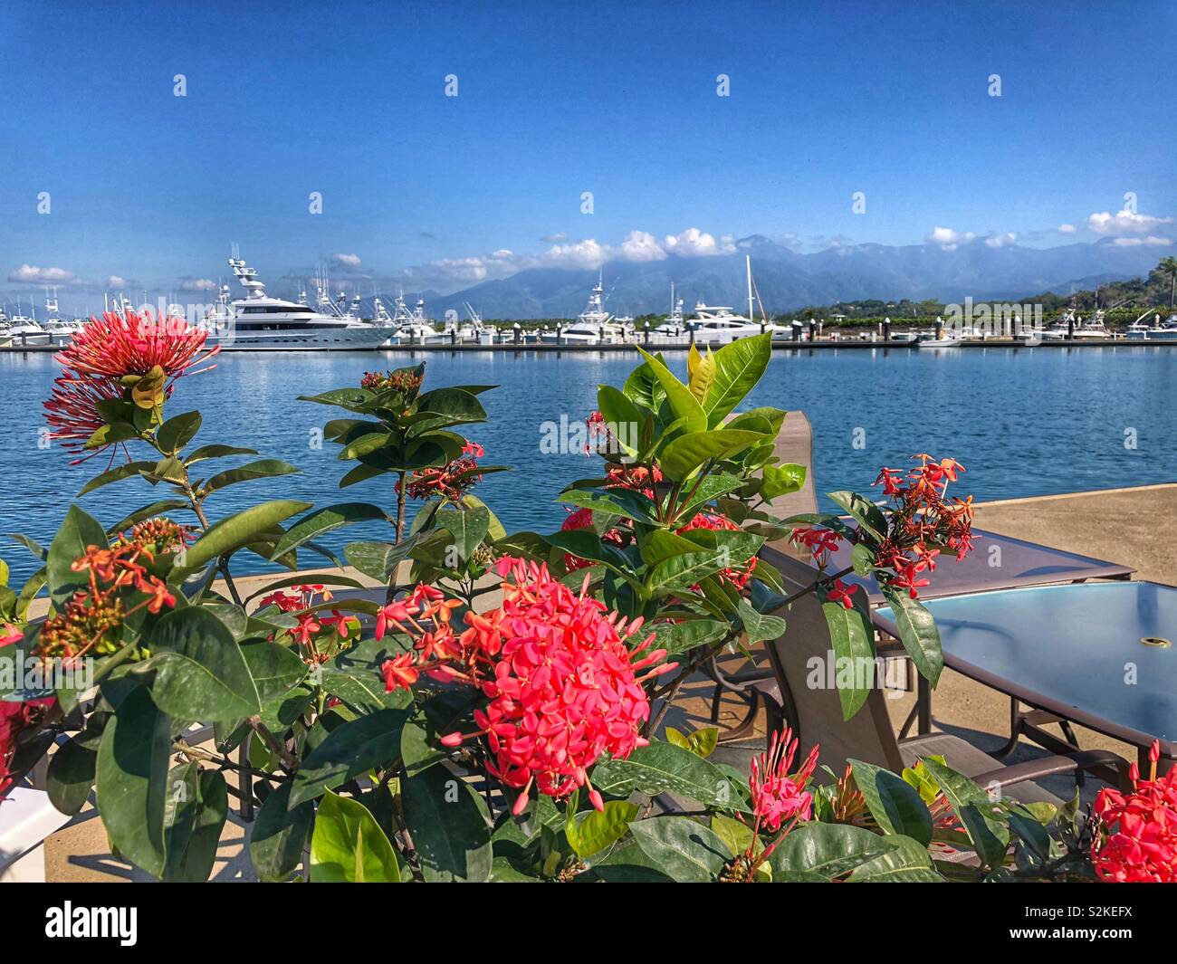 A peaceful sunny day at a marina in Costa Rica Stock Photo Alamy