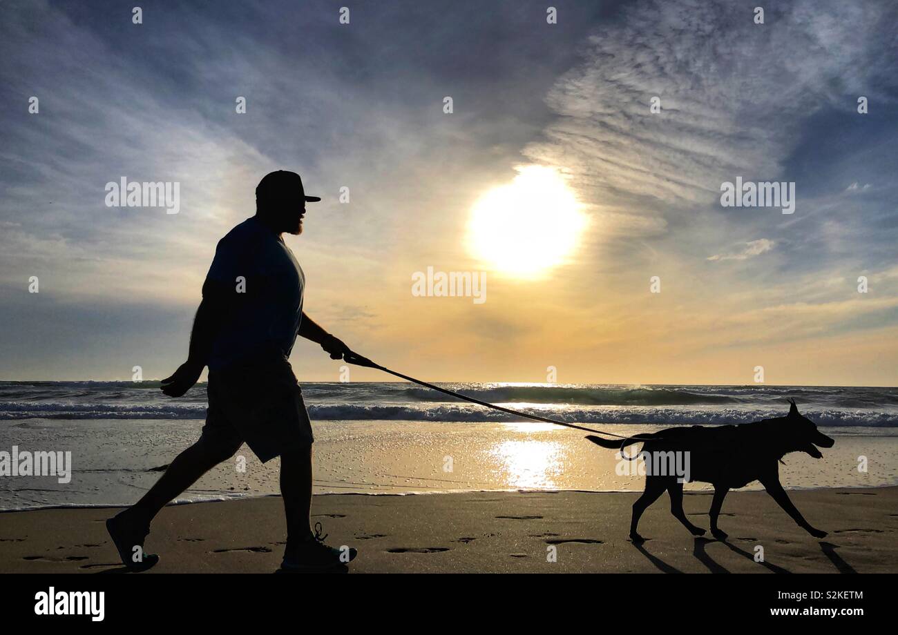 Man walking his dog on a beach Stock Photo - Alamy
