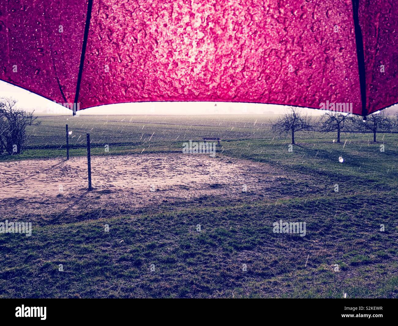 Looking out on an empty volleyball field during strong rain, hiding under red umbrella which is backlit from the sun Stock Photo