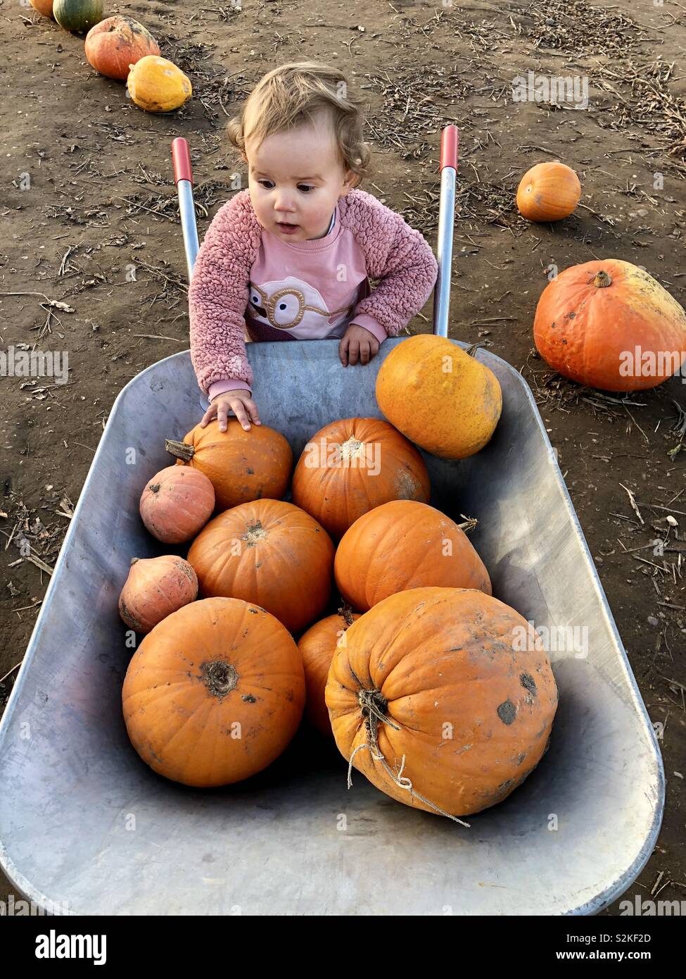 Adorable Baby Girl with Cowboy Hat in a Country Rustic Setting at the  Pumpkin Patch Stock Photo - Alamy