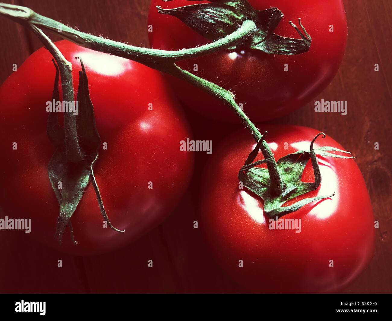 Closeup image of bunch of three red tomatoes on the vine Stock Photo