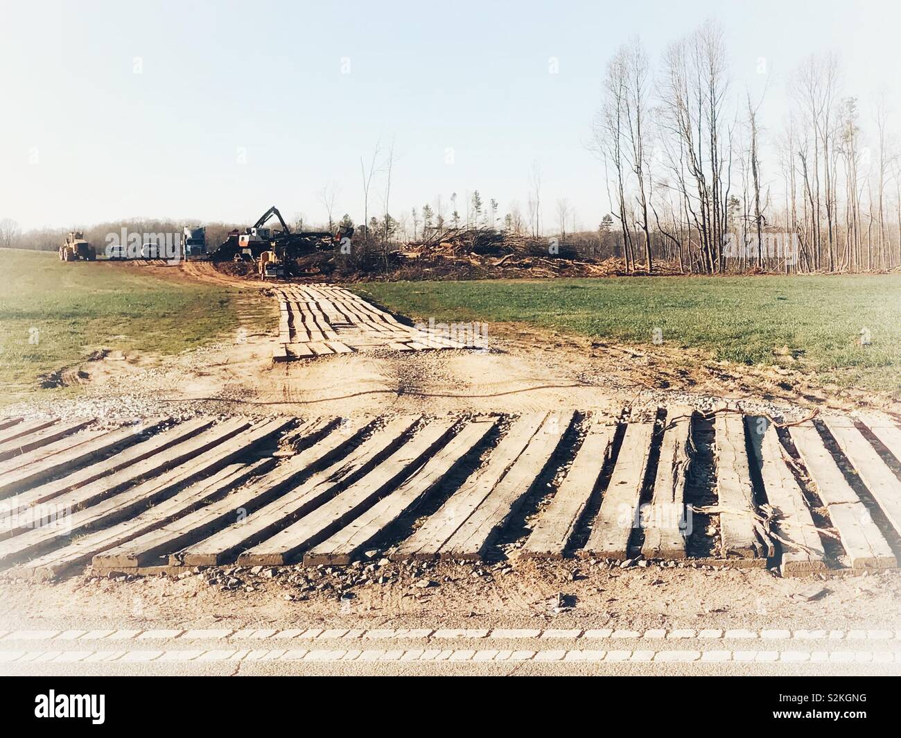 Timber covered drive for logging equipment in North Carolina - Smartphone Captured Stock Image