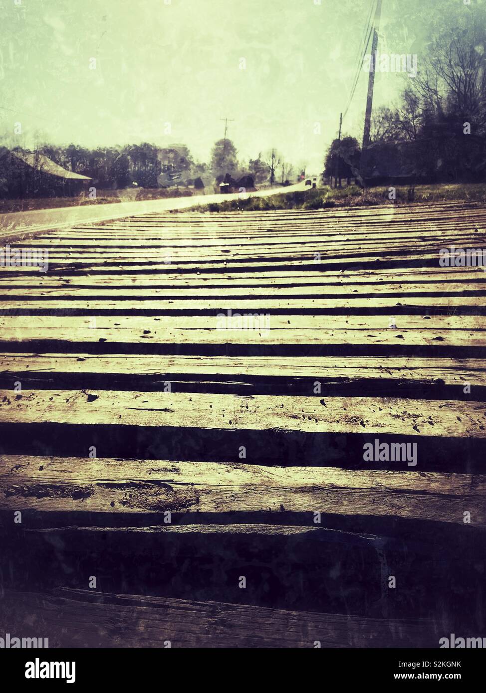 Closeup of timber covered drive for logging equipment in North Carolina - Smartphone Captured Stock Image