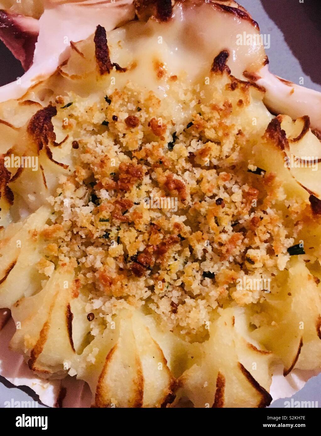 Scallops served in shell with potato and breadcrumbs. Coquille St