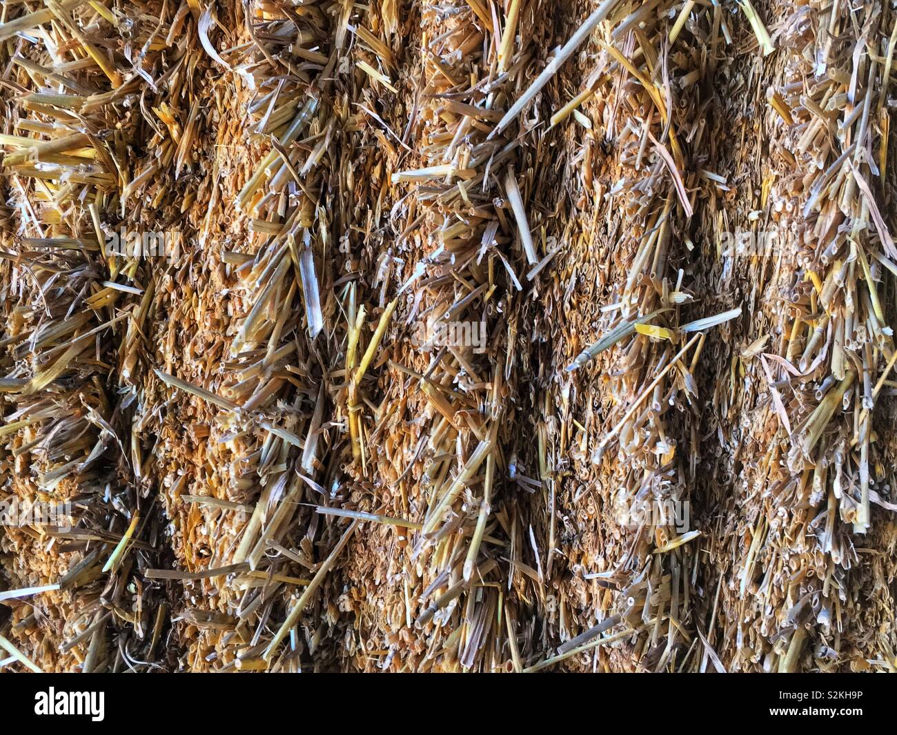 Fresh hay bale crimped on the sides. - Smartphone Captured Stock Image