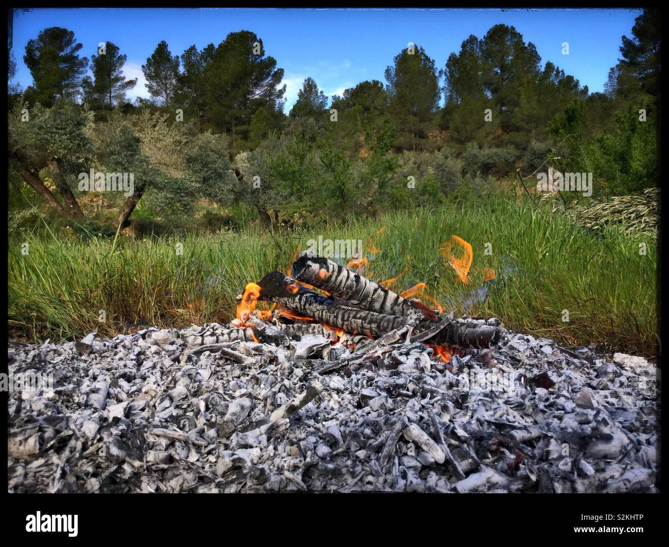 Olive grove bonfire, Catalonia, Spain. - Smartphone Captured Stock Image