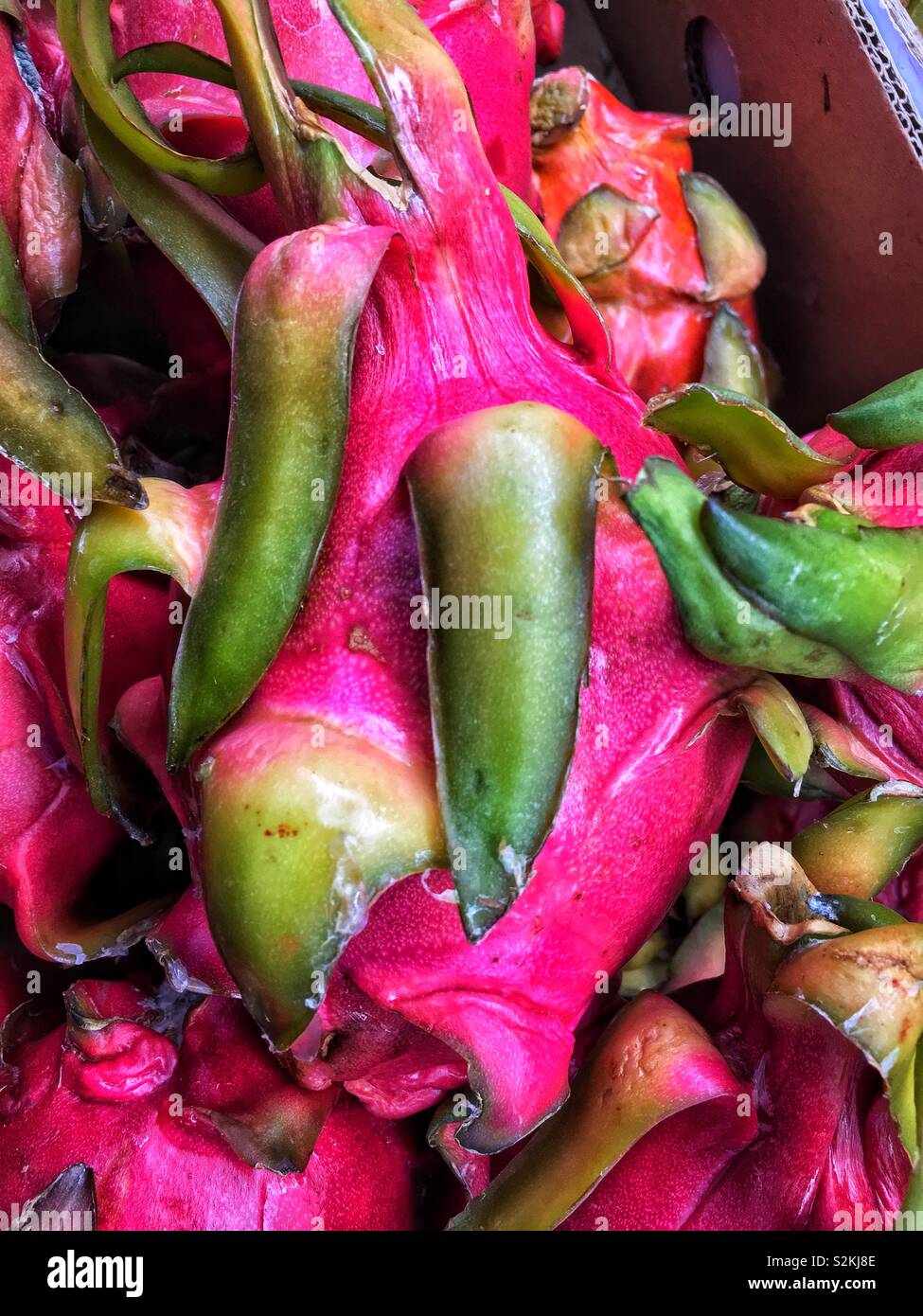 Full frame of fresh delicious ripe perfect dragon fruit, thang, Hylocereus, pitahaya, pitaya, pitaya roja, strawberry pear on display and for sale at the local produce market. Stock Photo