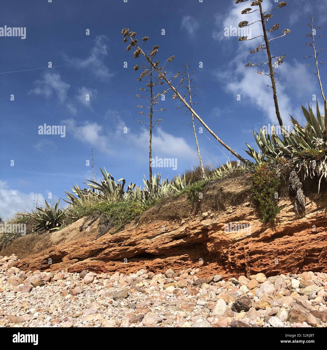 Edge of a pebble beach - Smartphone Captured Stock Image