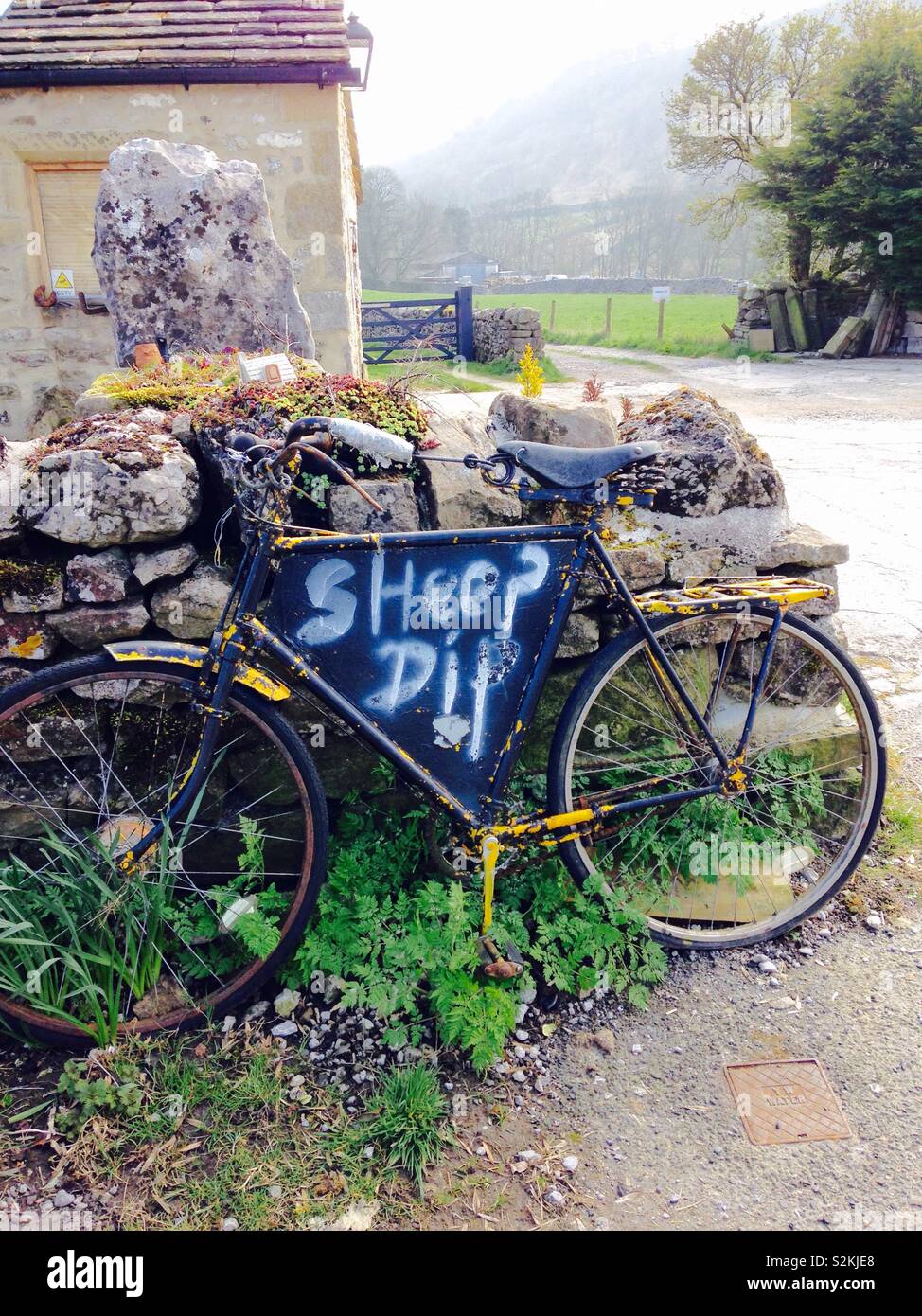 Old bicycle - Smartphone Captured Stock Image