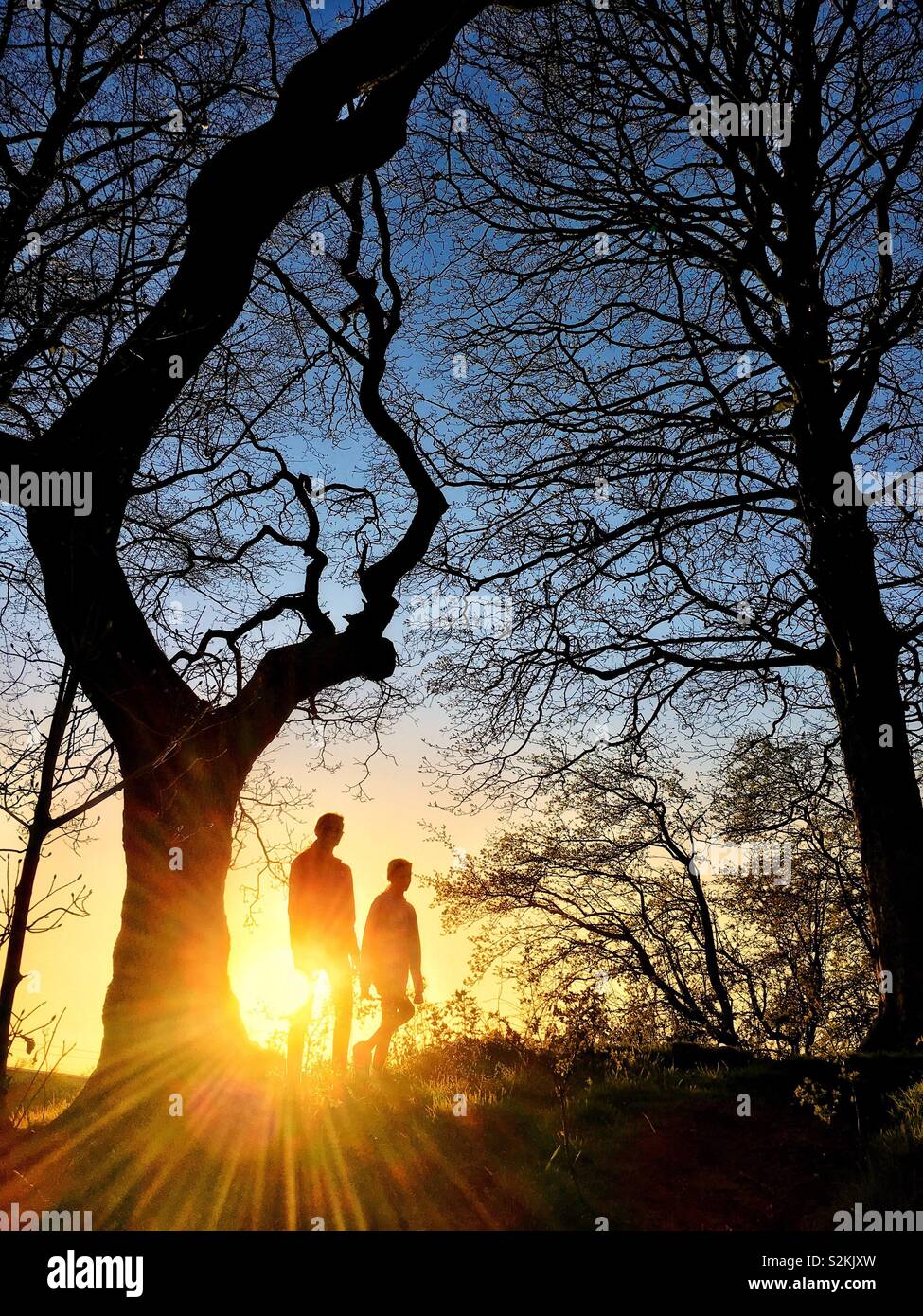 Two girls walking in woodland backlit by late evening sun Stock Photo