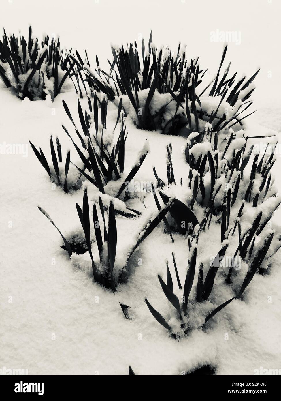 Oconomowoc hires stock photography and images Alamy