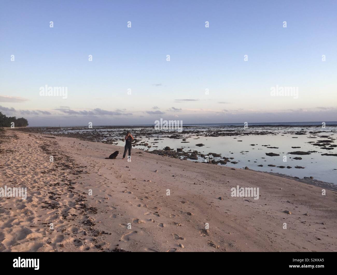 Man on beach with dog, Cook Islands Stock Photo - Alamy