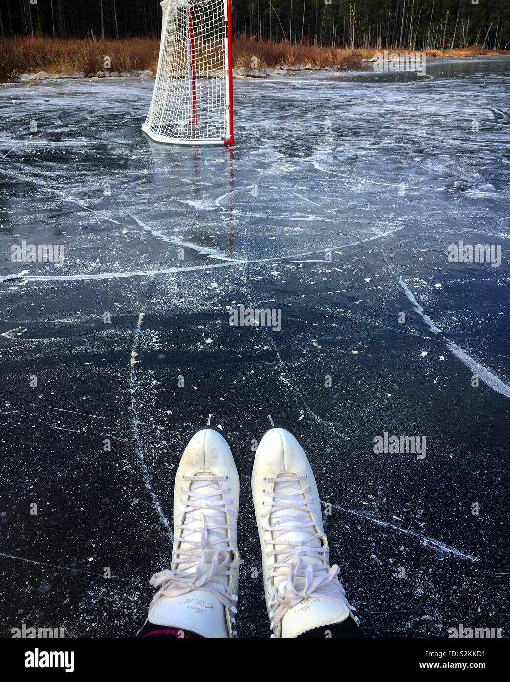 Ice capades hires stock photography and images Alamy