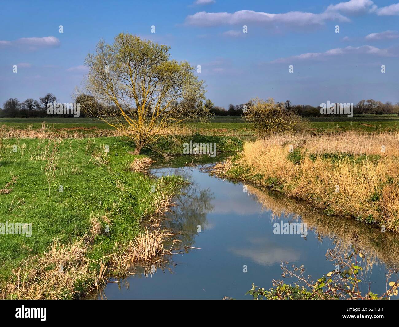 Countryside with reflections in a river in late winter early spring in Cambridgeshire, UK - Smartphone Captured Stock Image