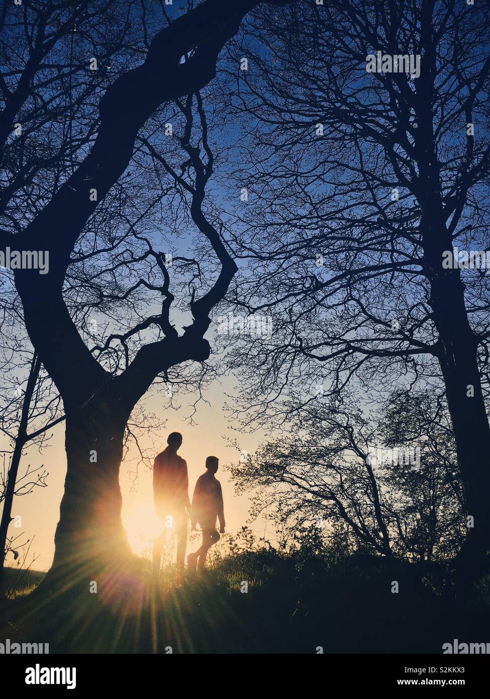 Two children walking in the woods backlit by the late evening sun Stock Photo