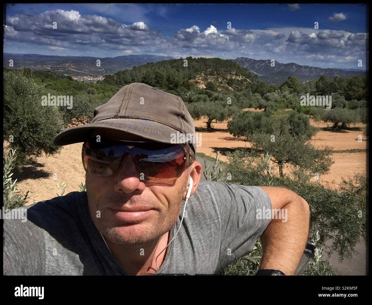 Olive farmer, up a tree, pruning, Catalonia, Spain. - Smartphone Captured Stock Image