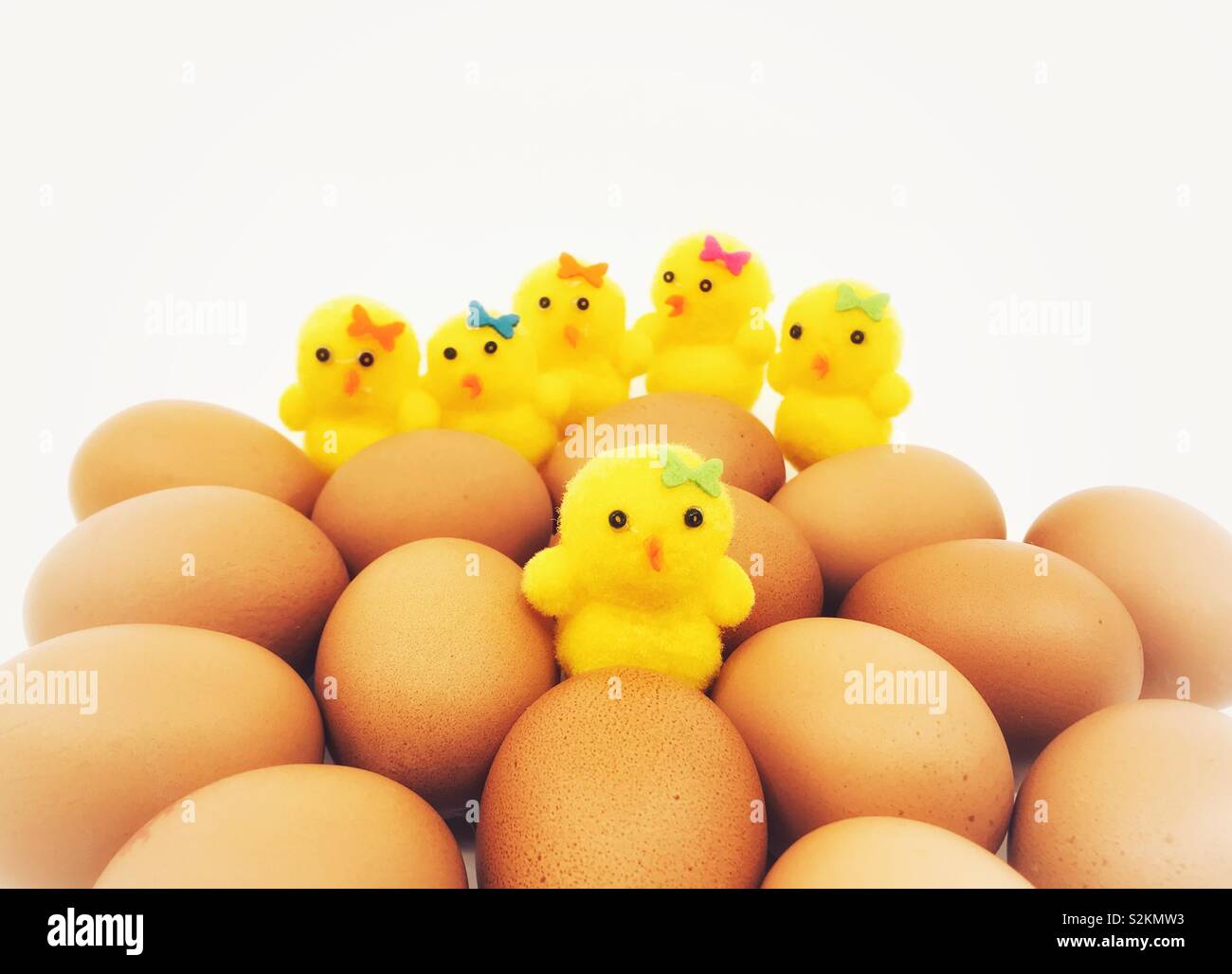Cute Easter chicks made of foam with a clutch of fresh eggs Stock Photo