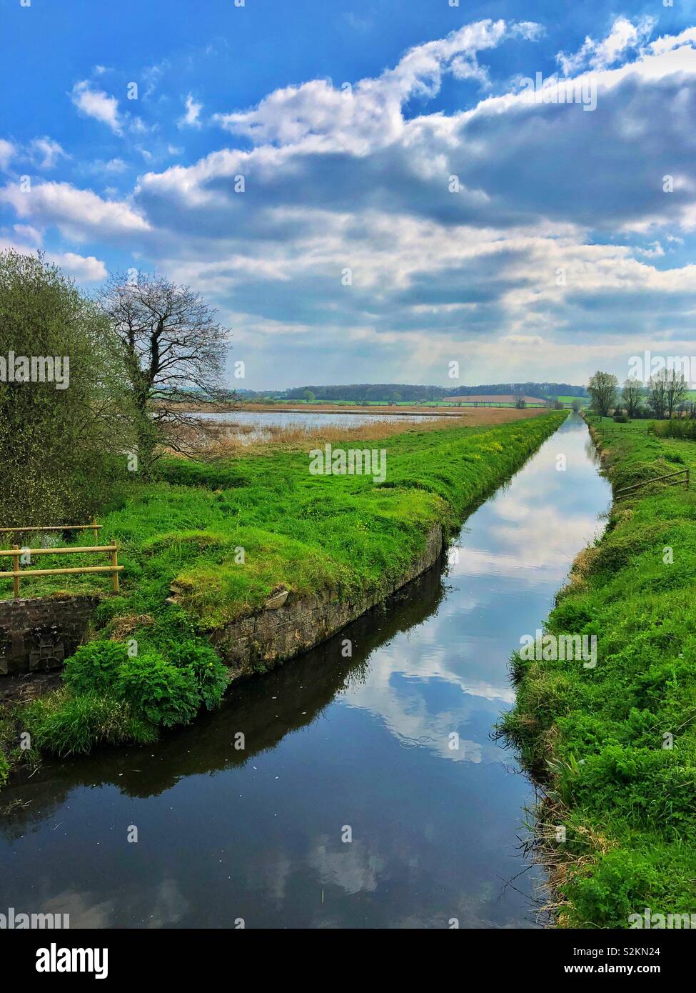 RSPB reserve at Ham Wall, Somerset Levels, England, April. Stock Photo