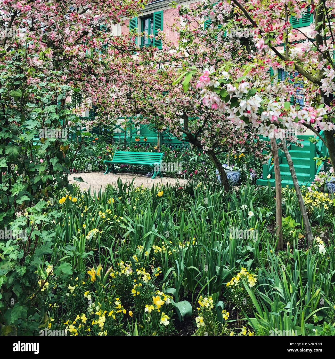 Spring in Monet garden in Giverny, France - Smartphone Captured Stock Image