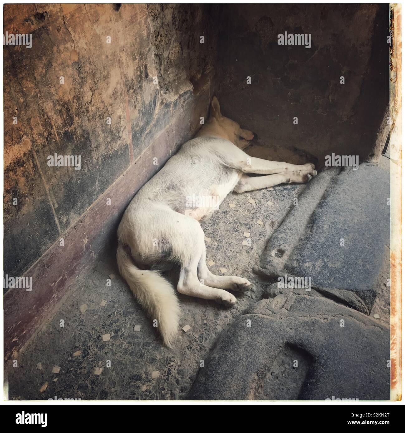 Let sleeping dogs lie - Pompeii hot dog Stock Photo