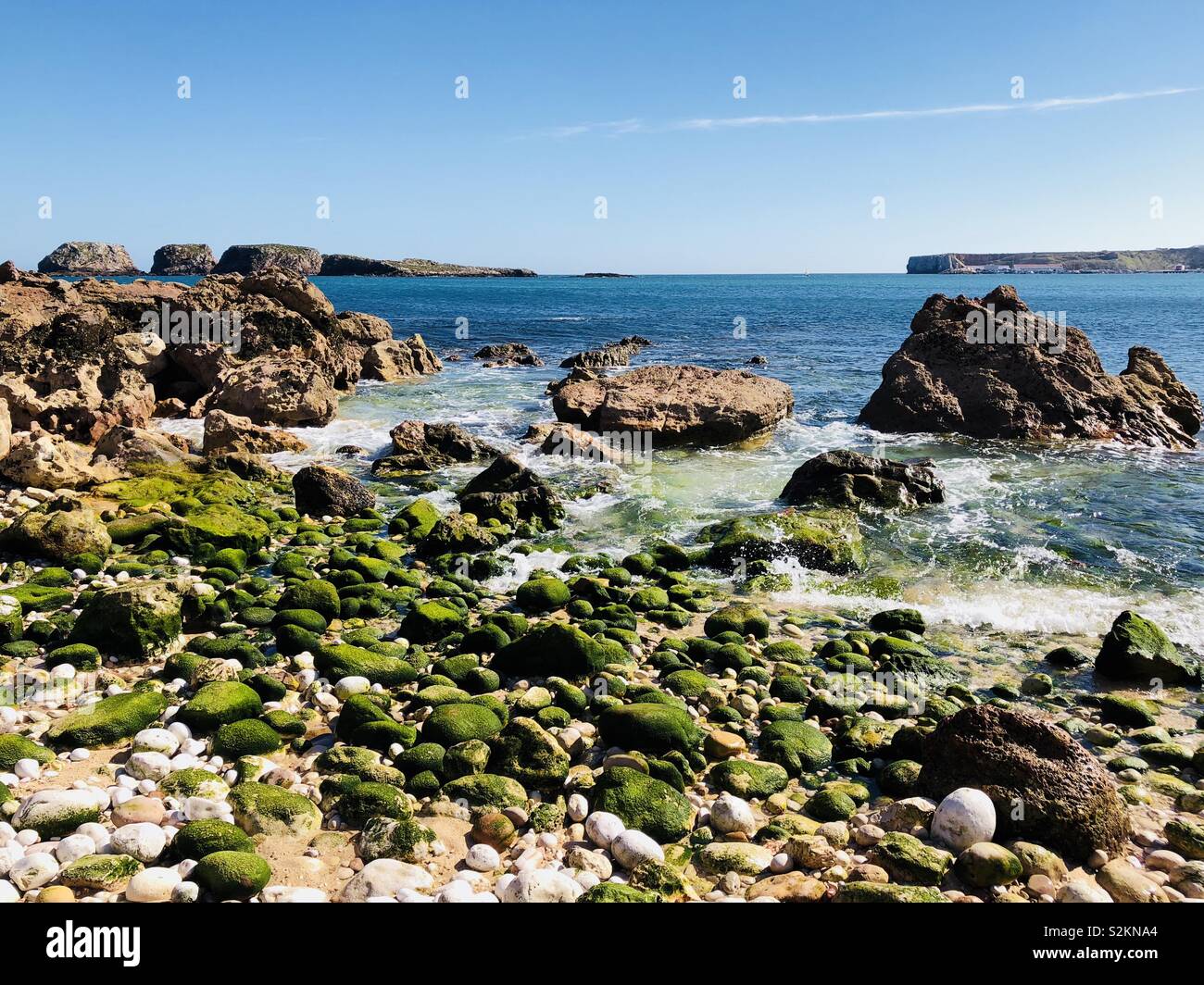 Rocky shore with lots of green algae - Smartphone Captured Stock Image Rocky shore with lots of green algae - Smartphone Captured Stock Image