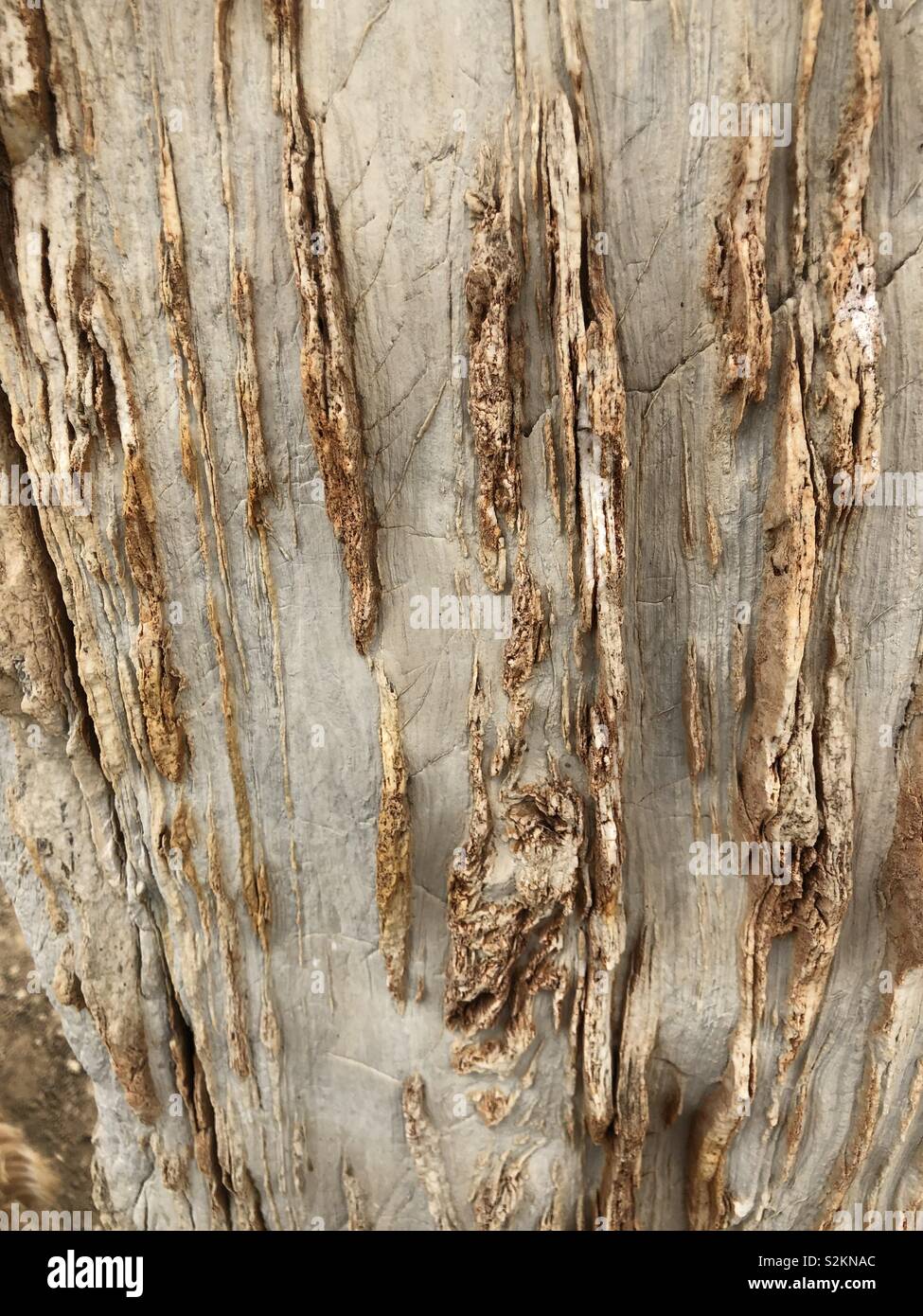 Vertical erosion hi-res stock photography and images - Alamy