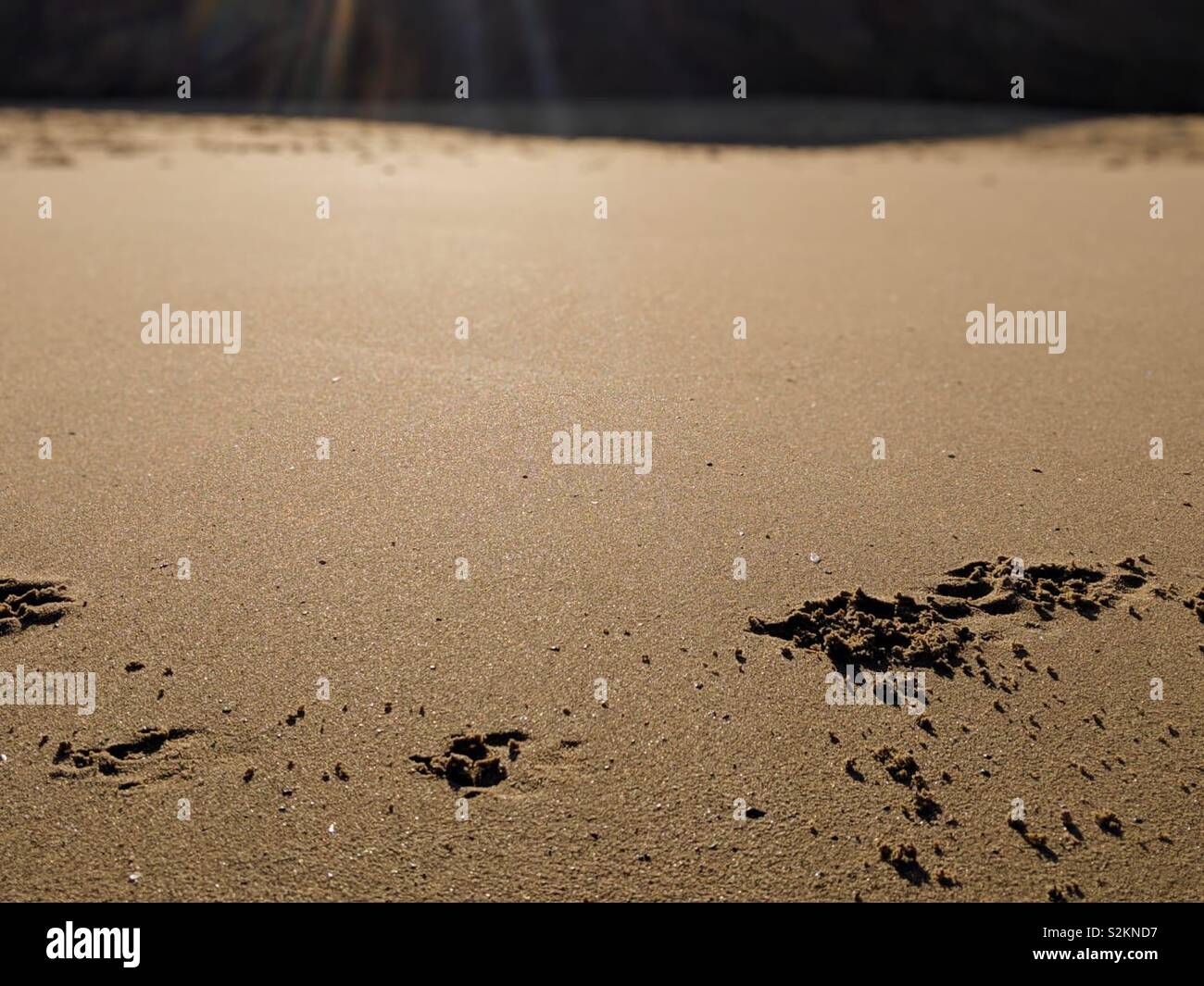 Foot steps in the sand at Ulrome beach, Yorkshire Stock Photo Alamy