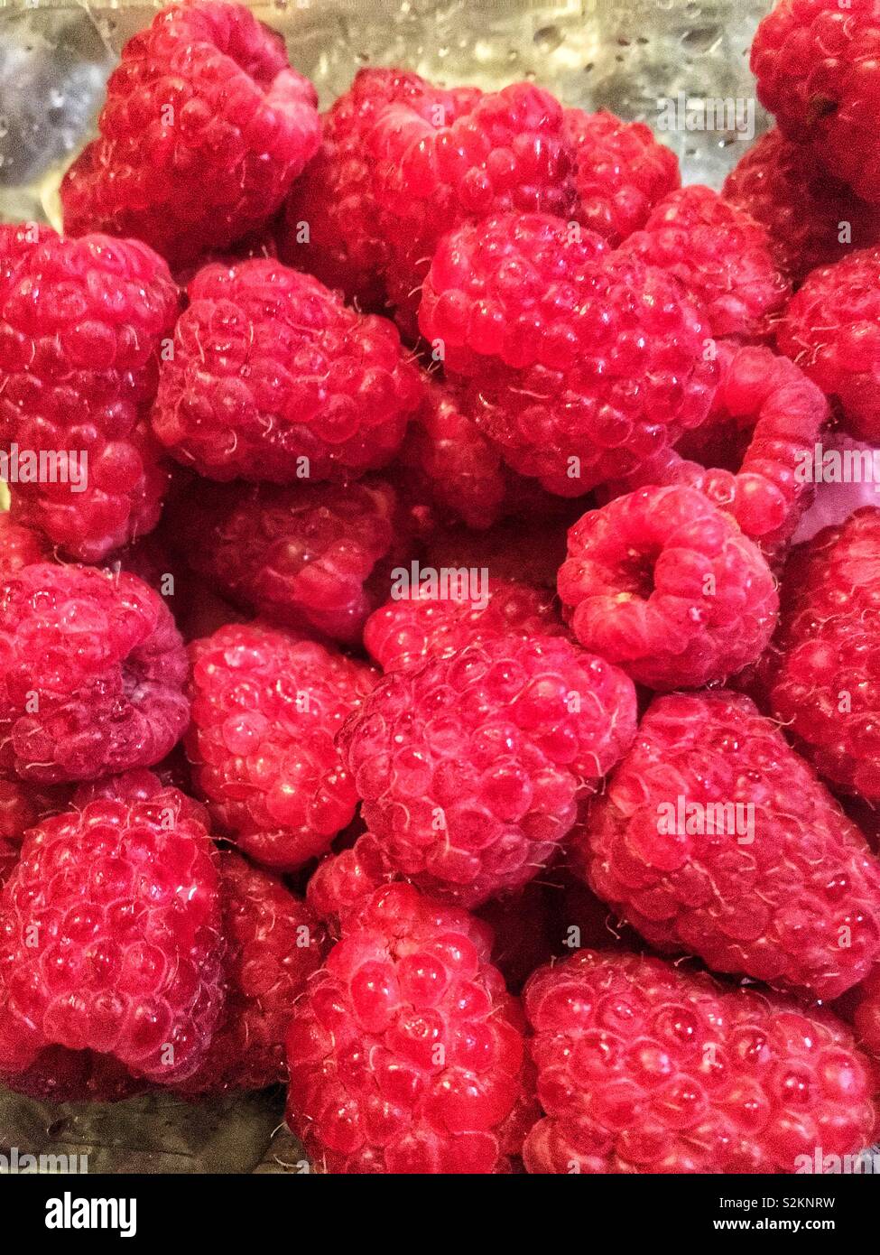 Red ripe delicious perfect raspberries ready to eat. - Smartphone Captured Stock Image