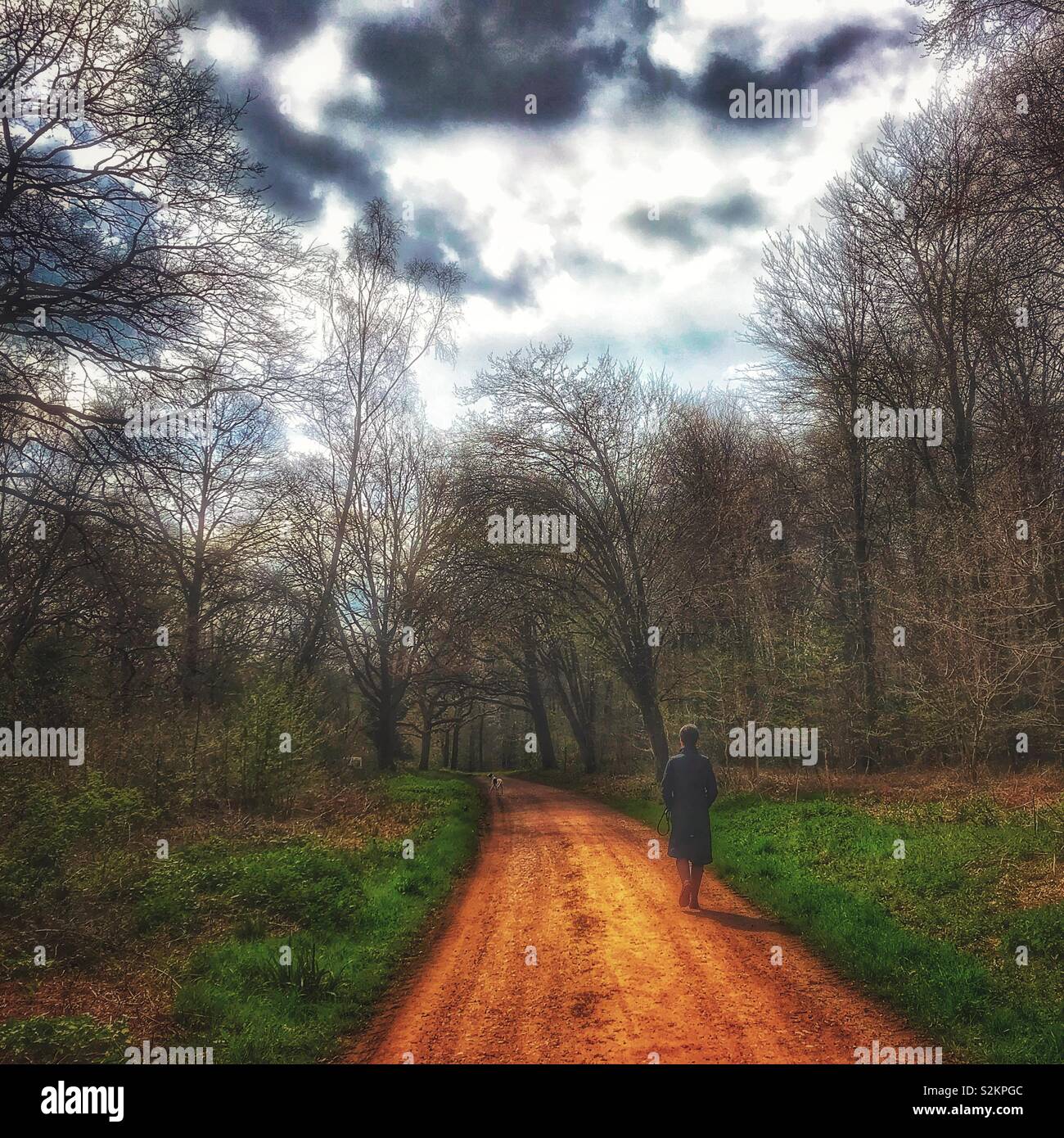 Woman walking through the woods - Smartphone Captured Stock Image Woman walking through the woods - Smartphone Captured Stock Image