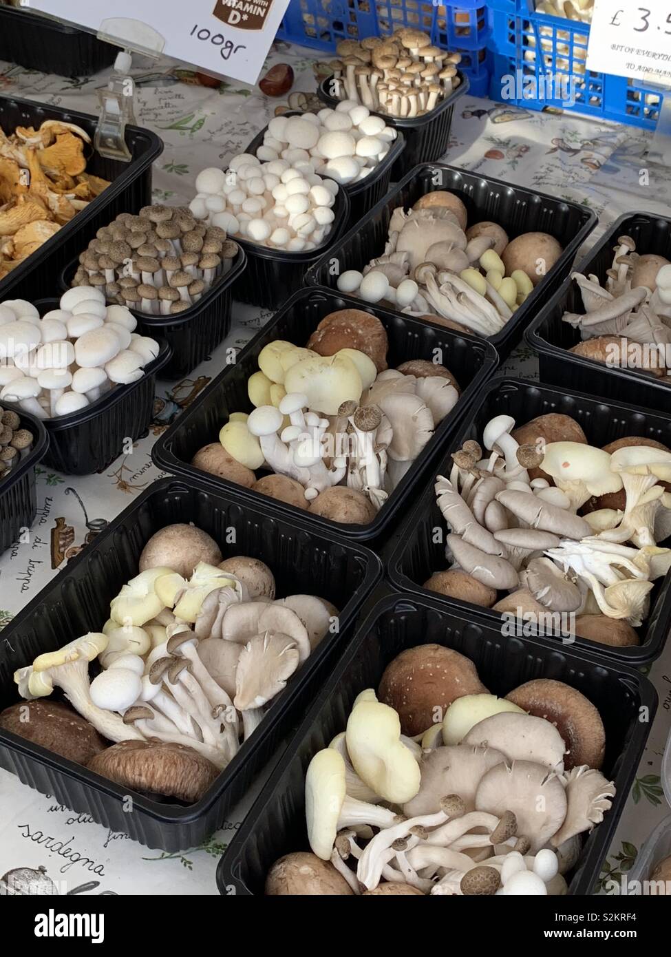 Various mushroom varieties for sale in punnets in a market stall in Beverley Market, East Yorkshire Stock Photo