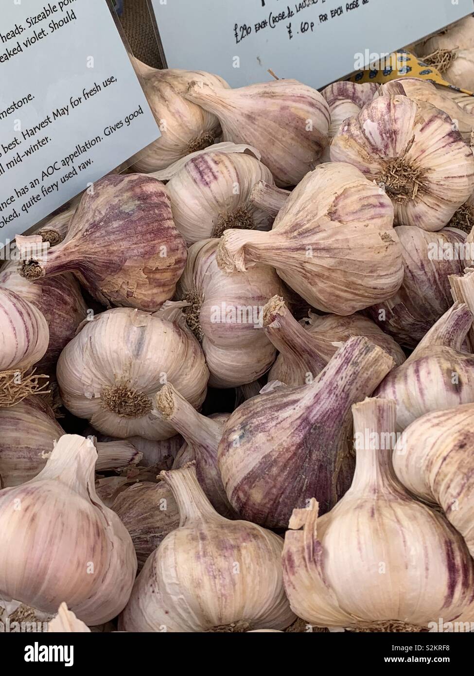 Fresh garlic bulbs for sale on a market stall in Beverley market, East