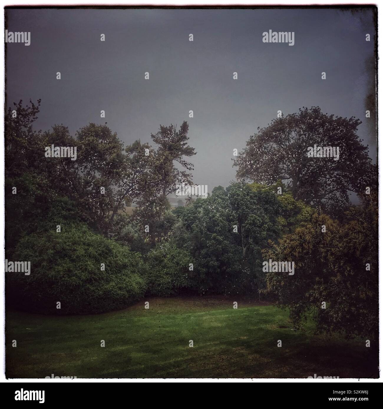 Garden view. - Smartphone Captured Stock Image