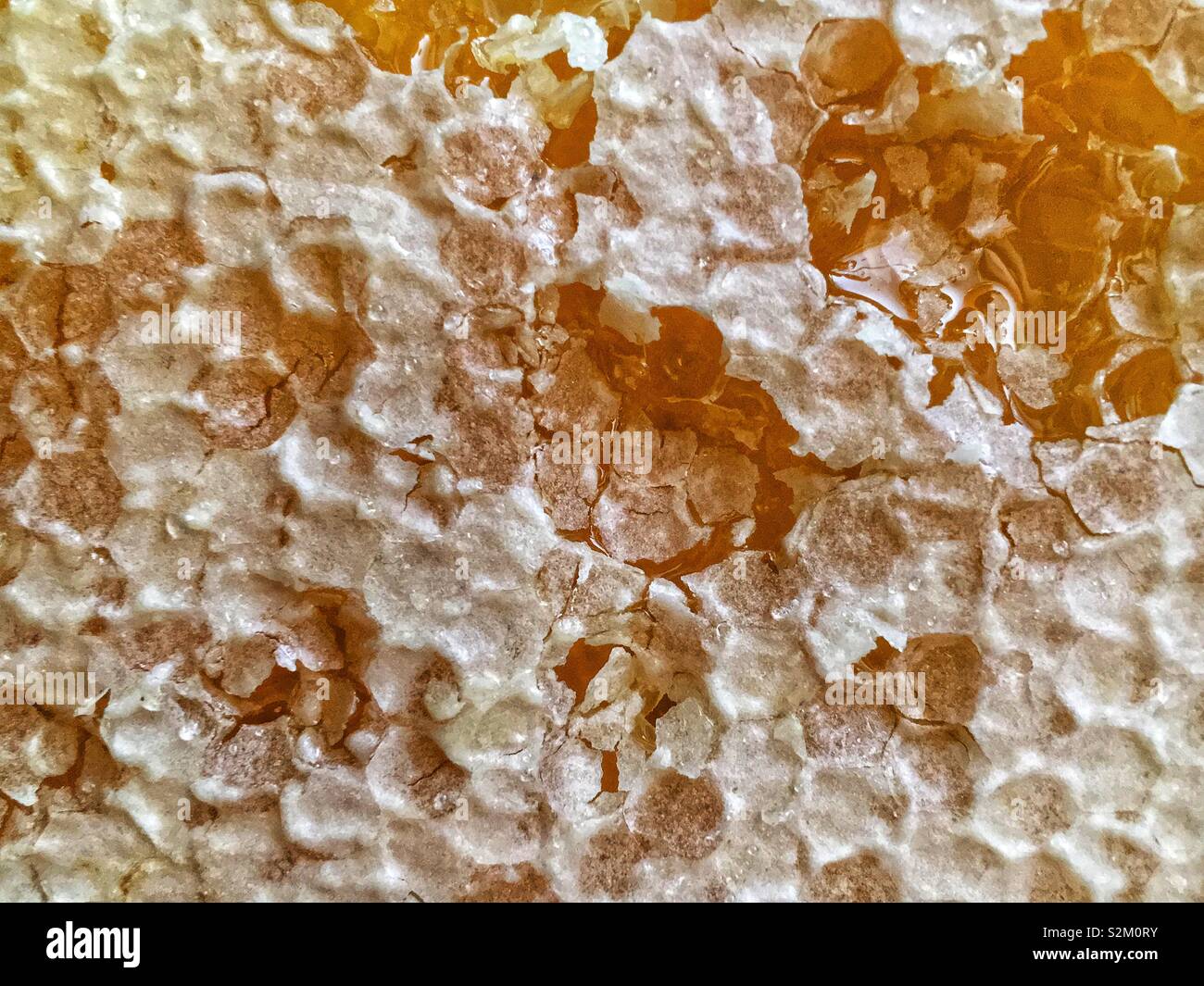 Natural honeycomb honey and wax made by bees. - Smartphone Captured Stock Image