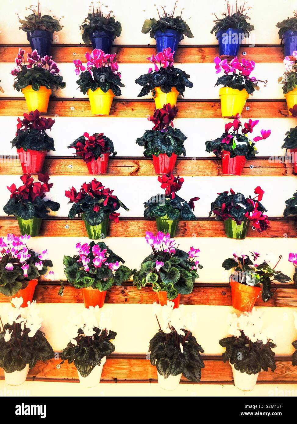 Display of colourful plant pots Stock Photo