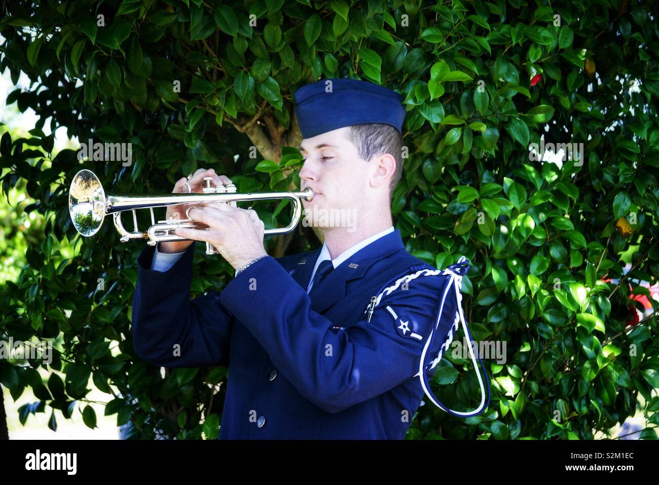 Bugler playing taps hires stock photography and images Alamy