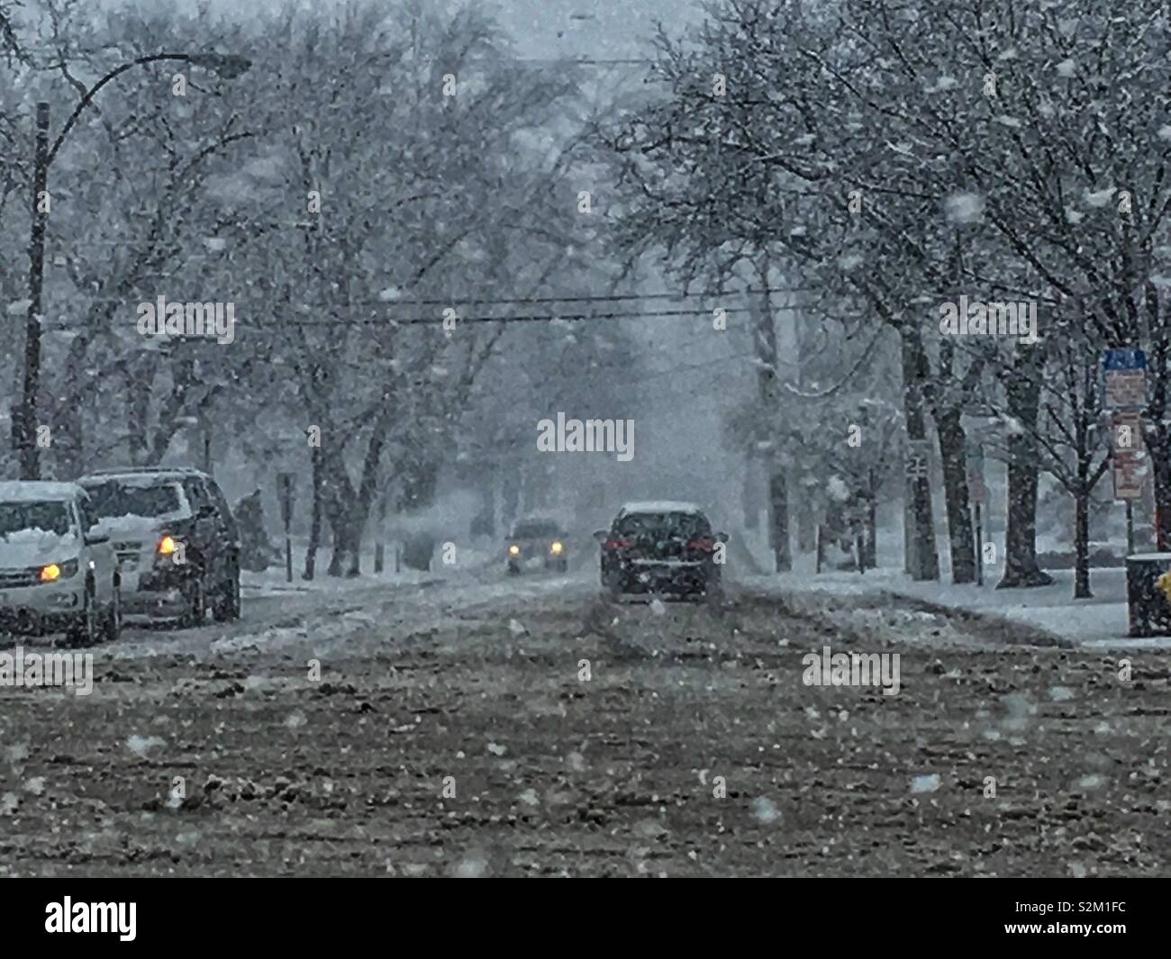 Harsh winter weather scene of a snow storm blowing snow around a boulevard. Stock Photo