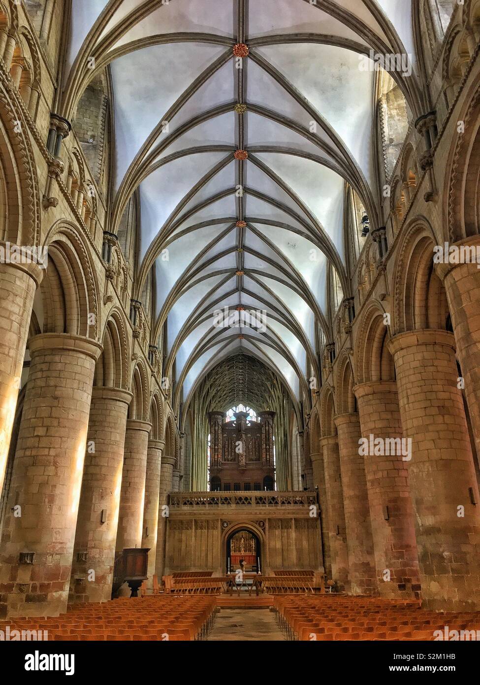 Interior of Gloucester cathedral showing organ and huge ornate vaulted ceiling and pillars. - Smartphone Captured Stock Image