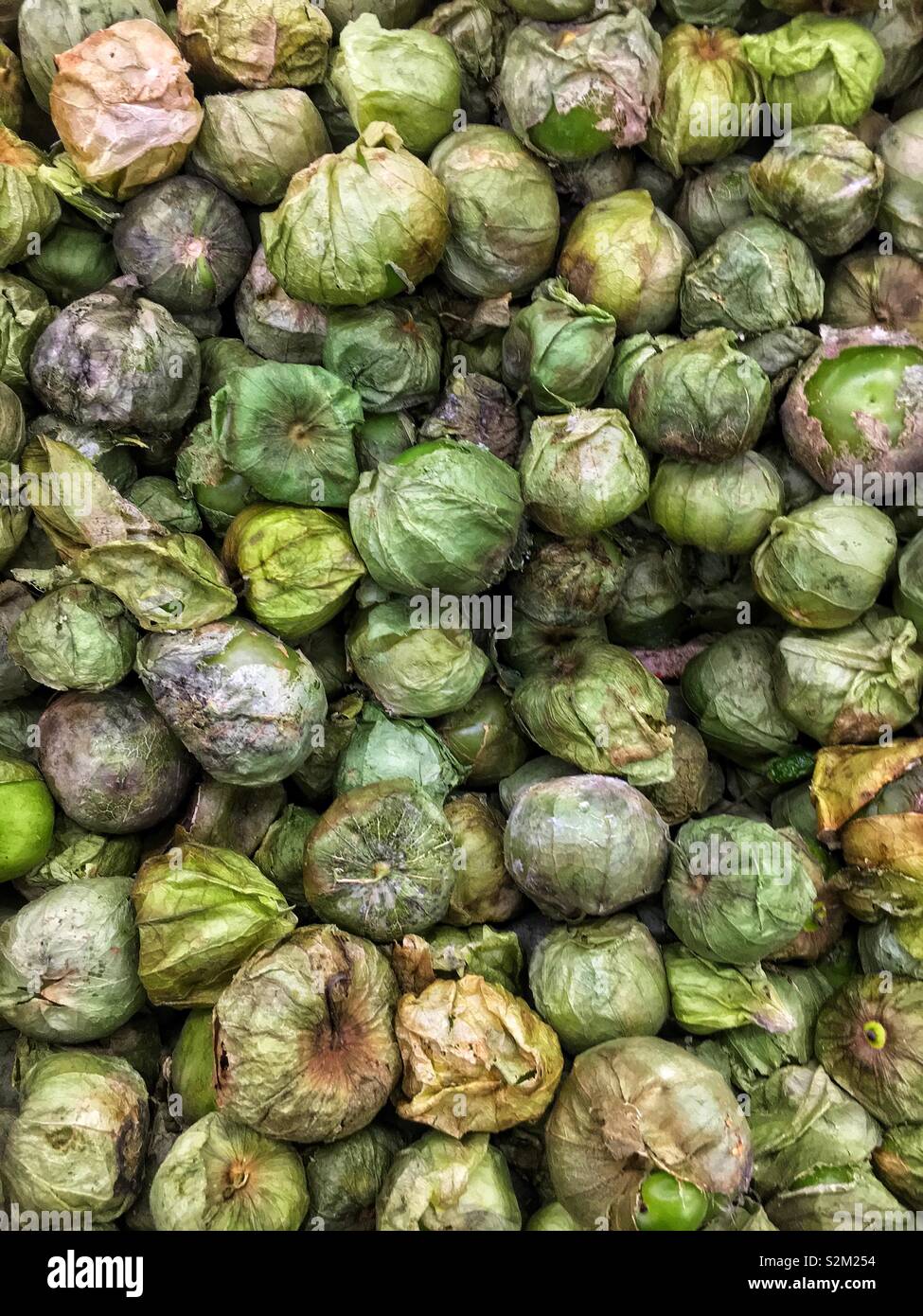 Full frame of fresh delicious ripe green tomatillos on display and for sale at the local produce