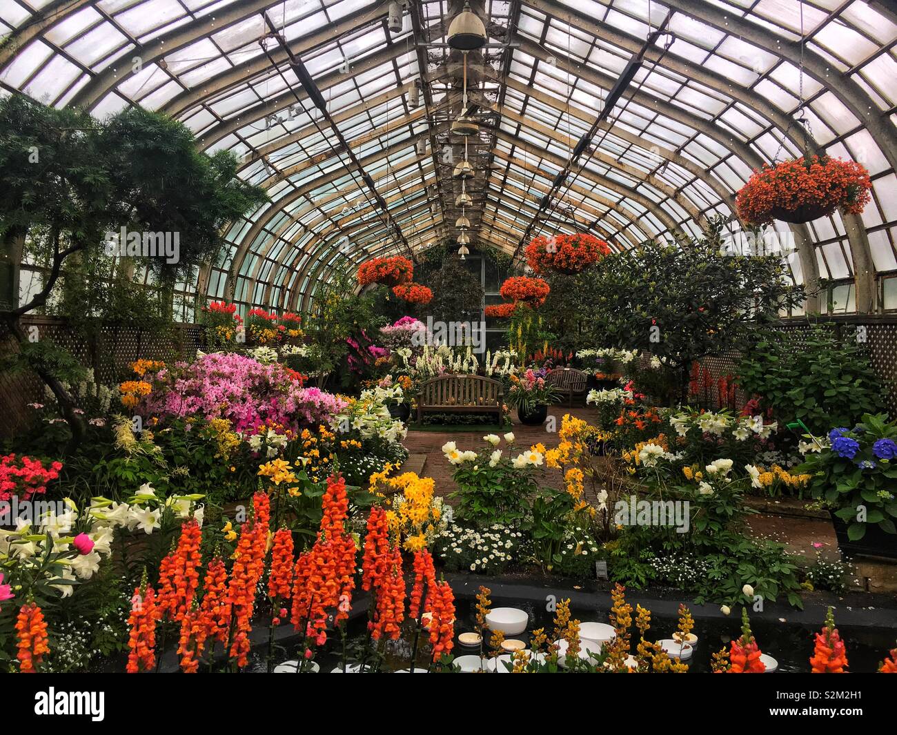 The show room at the Lincoln Park Conservatory in Chicago, Illinois. - Smartphone Captured Stock Image