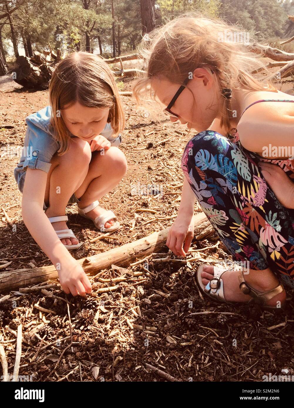 Sisters play in the woods - Smartphone Captured Stock Image