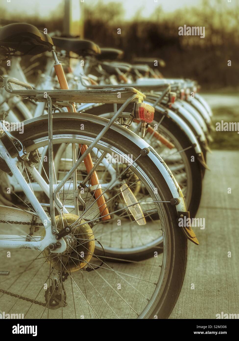 Rental bikes lined up at a local park Stock Photo