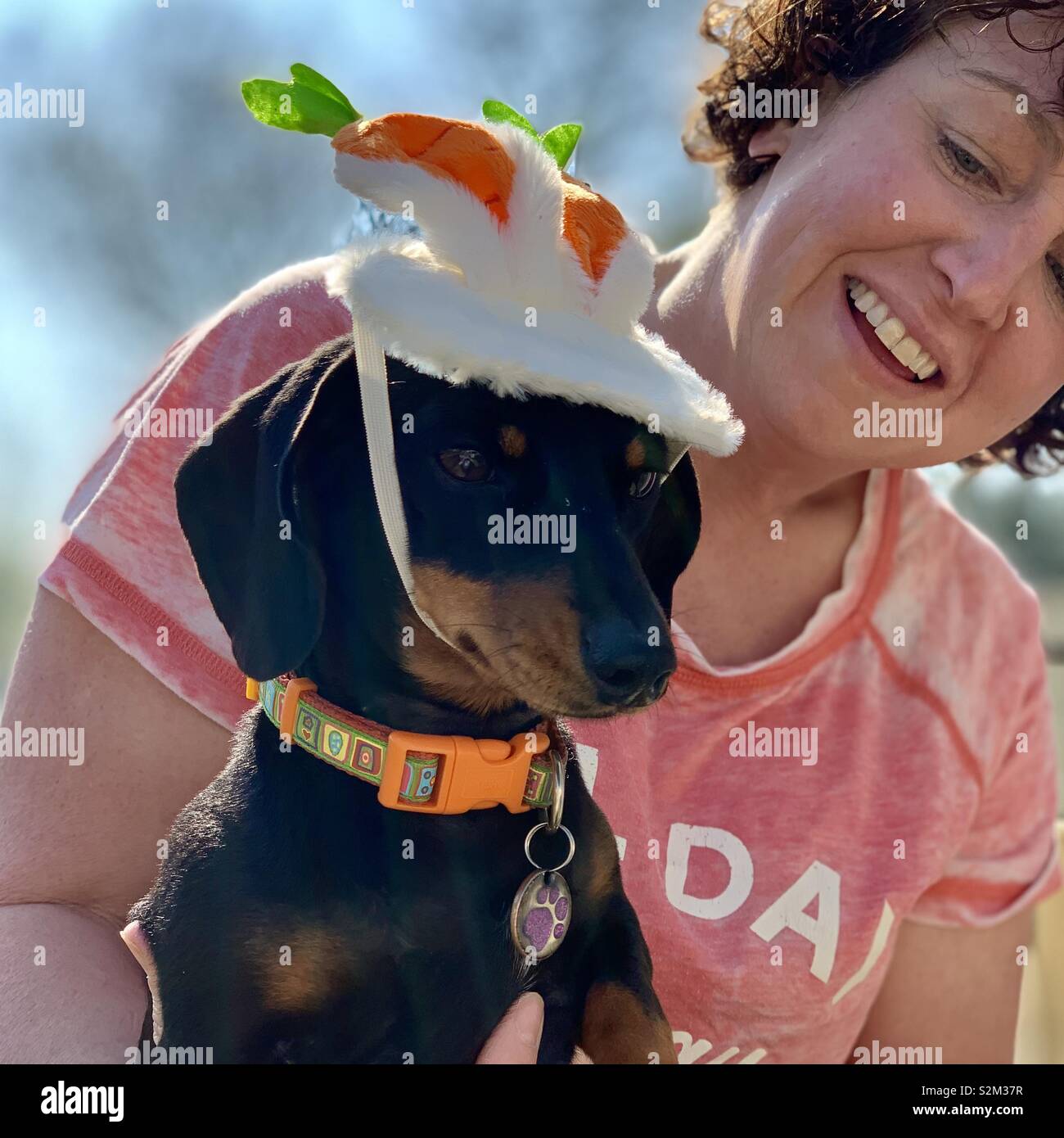 Dachshund with a Easter rabbit headband on with happy female owner. - Smartphone Captured Stock Image