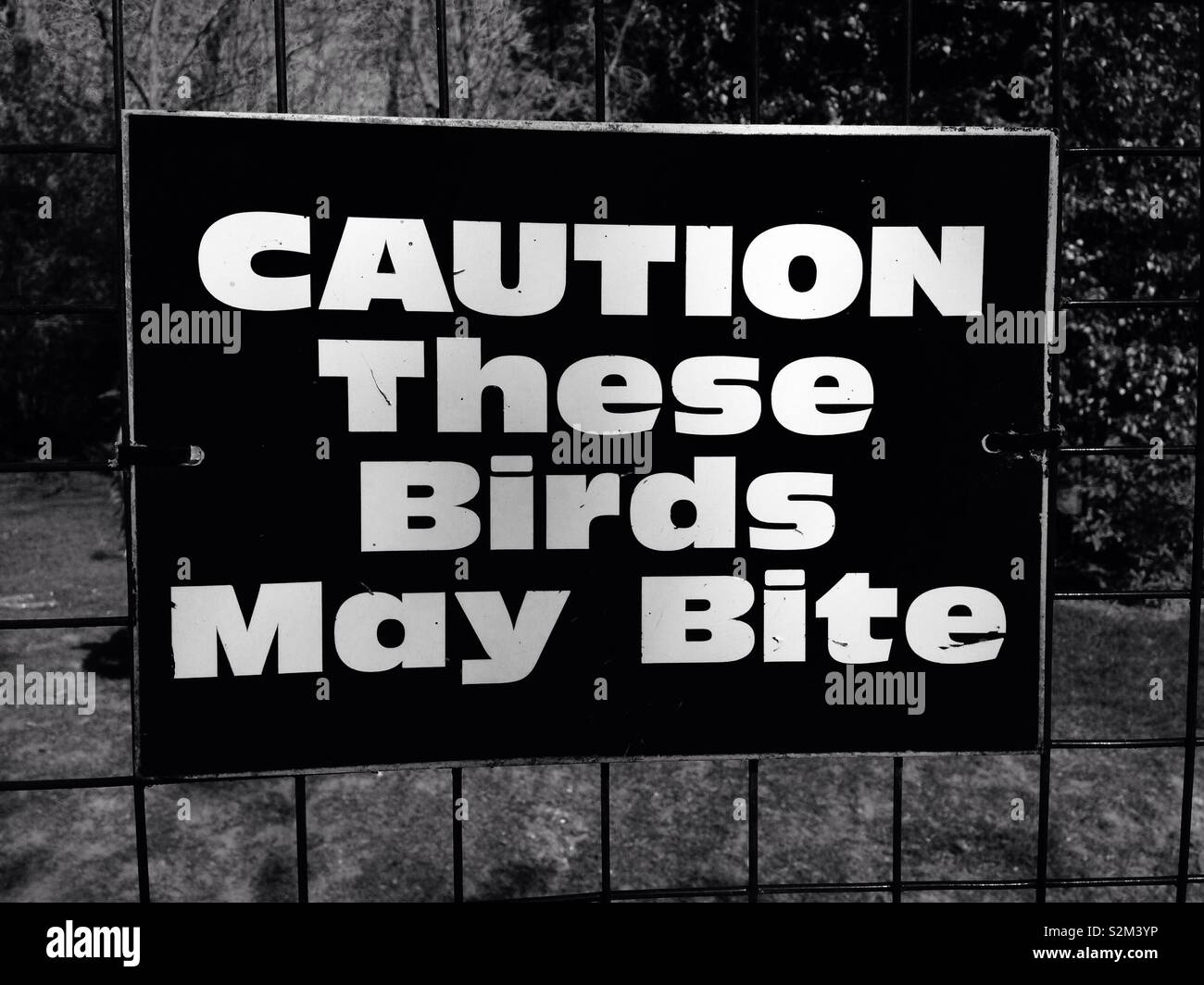 Danger warning - Smartphone Captured Stock Image