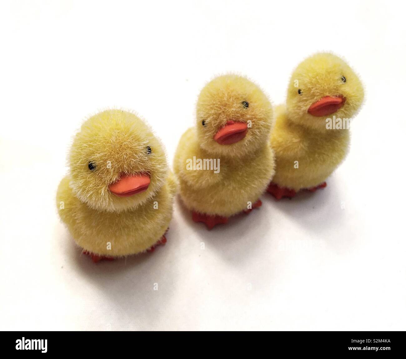 Three dummy ducks in a white background - Smartphone Captured Stock Image