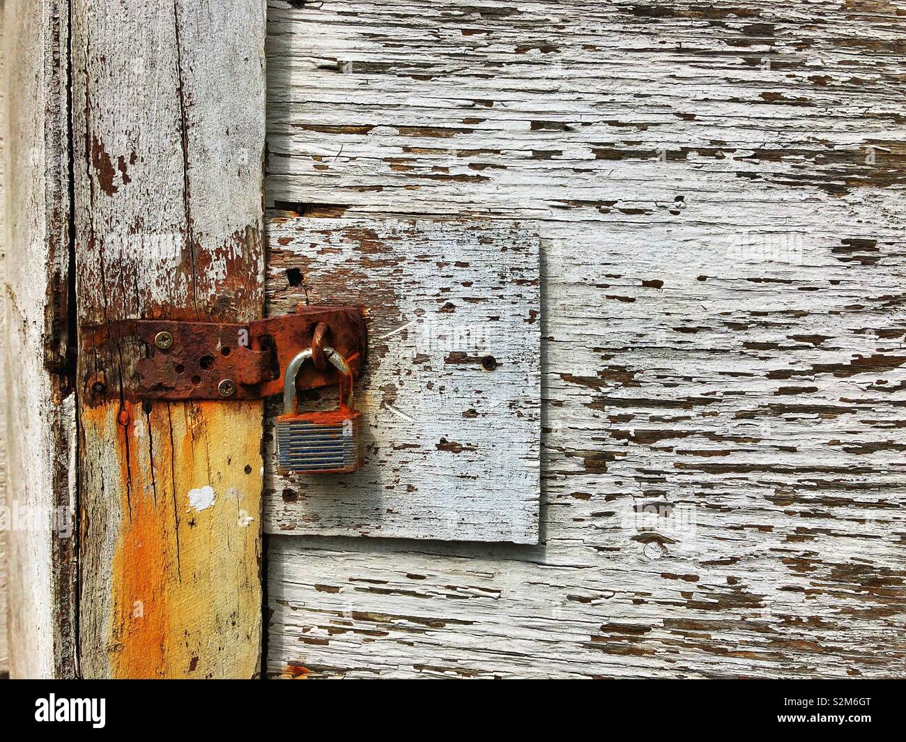 Rusted padlock on an old wooden door with flaking white paint. - Smartphone Captured Stock Image