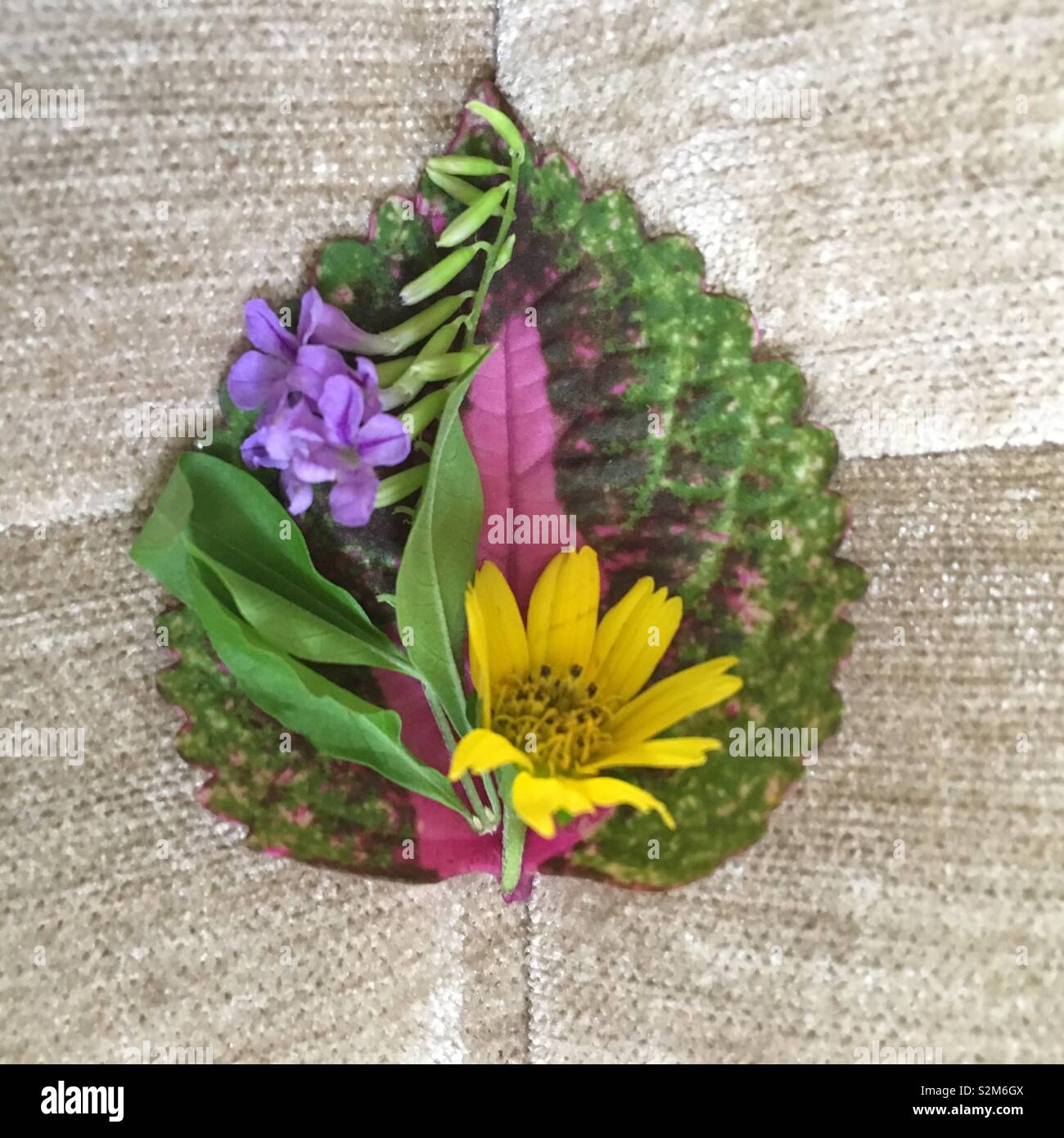 Easter Greetings By An 11 Year Old Stock Photo Alamy easter-greetings-by-an-11-year-old-stock-photo-alamy