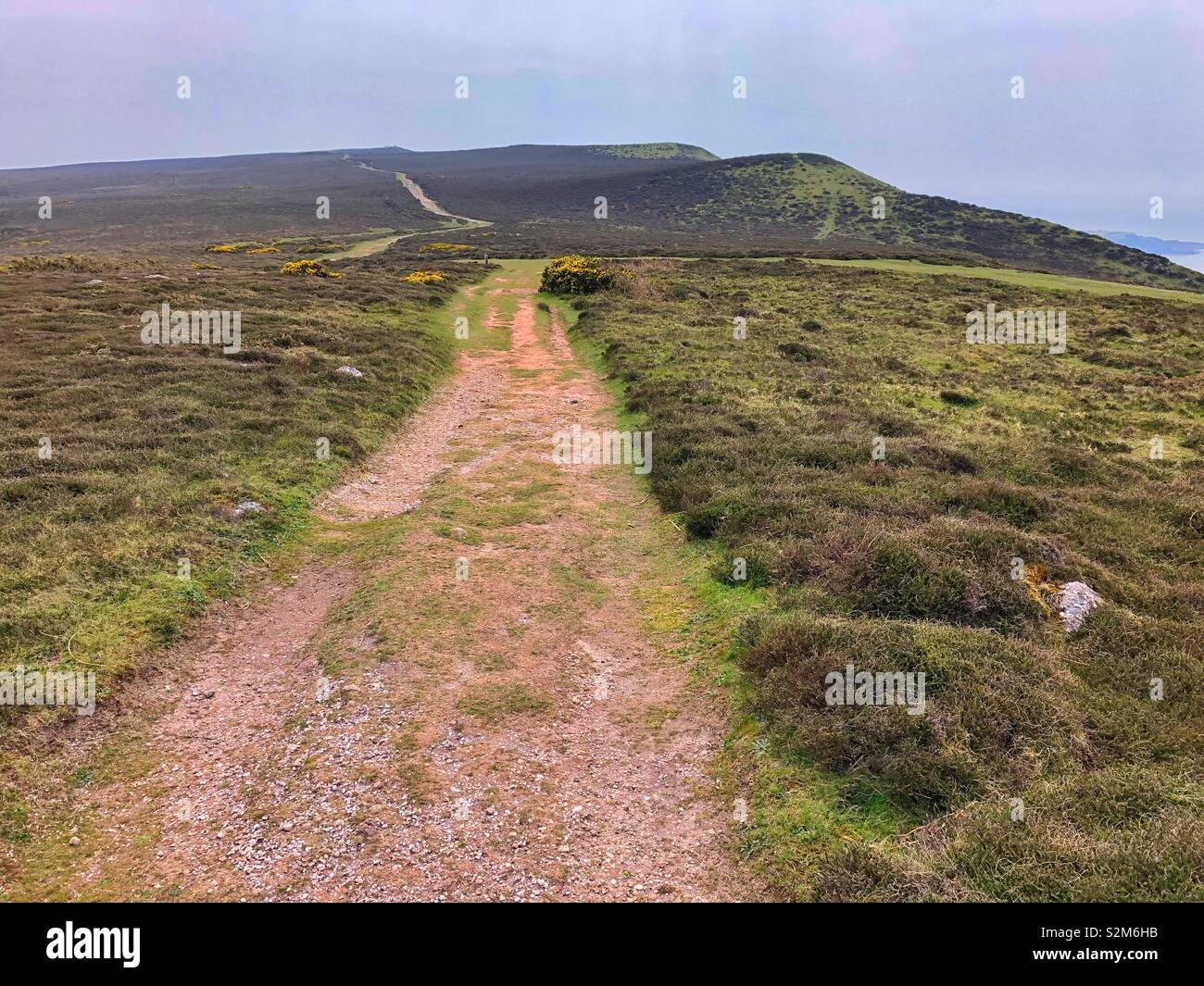 Pathway over Rhossili Downs from Llangennith to Rhossili. - Smartphone Captured Stock Image