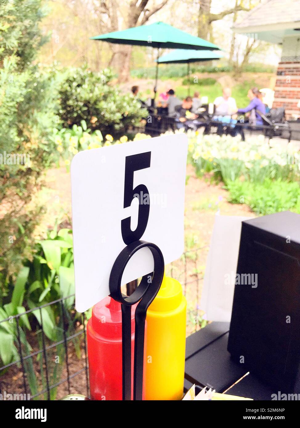 Table number five at the alfresco dining patio at the ballfield café in central park, NYC, USA - Smartphone Captured Stock Image