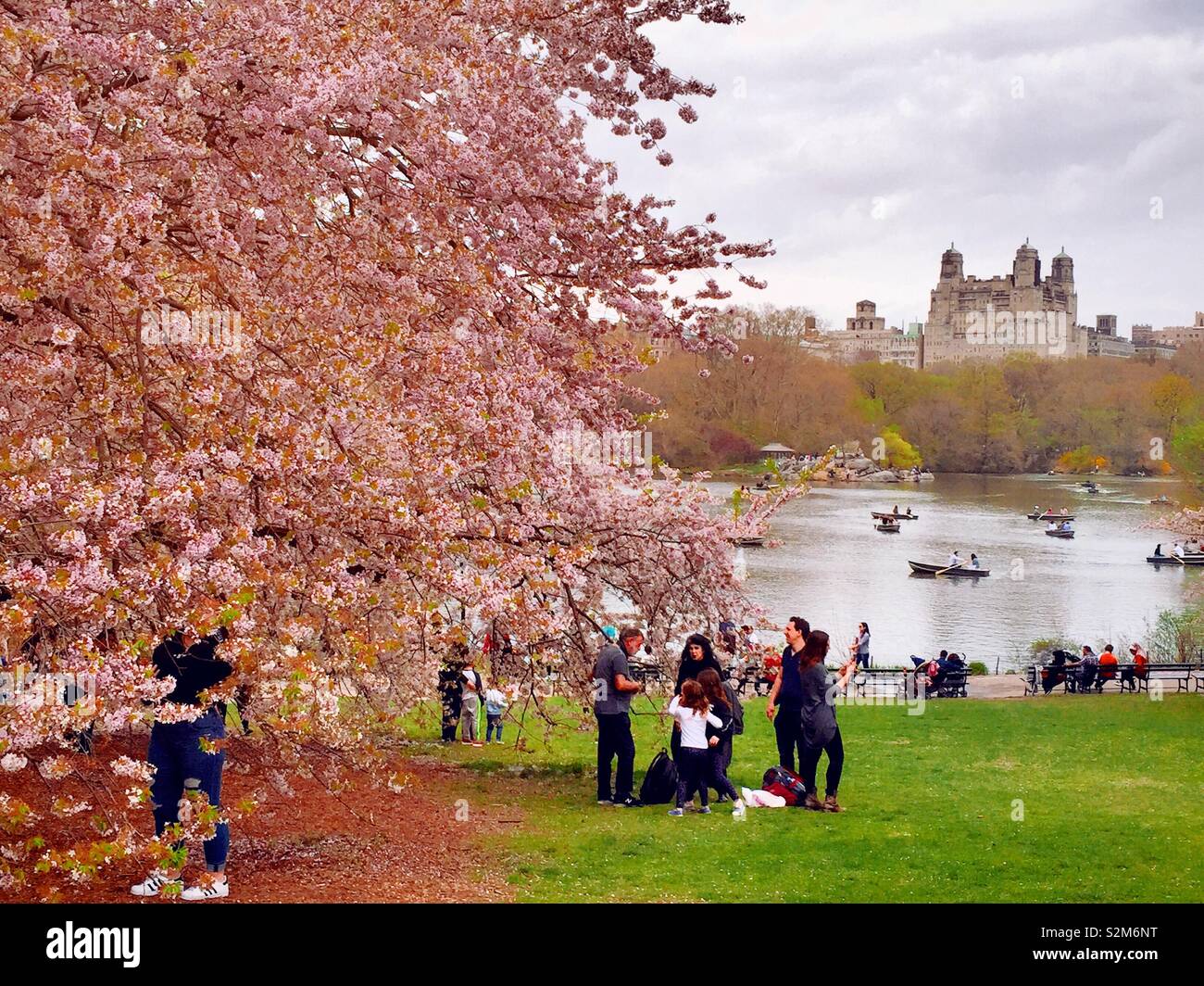 Tourists enjoying hey spring day at the lake in central park, NYC, USA - Smartphone Captured Stock Image